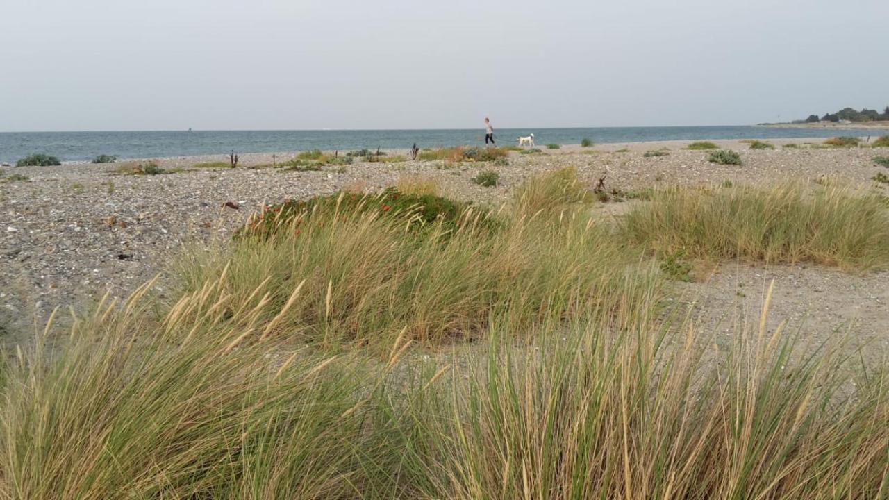 Apartament Inselloft-Fehmarn Zewnętrze zdjęcie